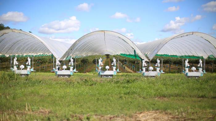 falta-mano-obra-avance-robots|falta-mano-obra-avance-robots